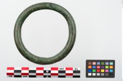 Foto von Bronzegehängering (NHMW-PRAE-024137)
